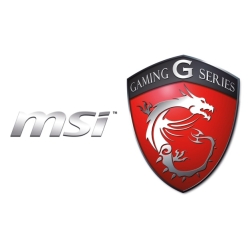 MSI